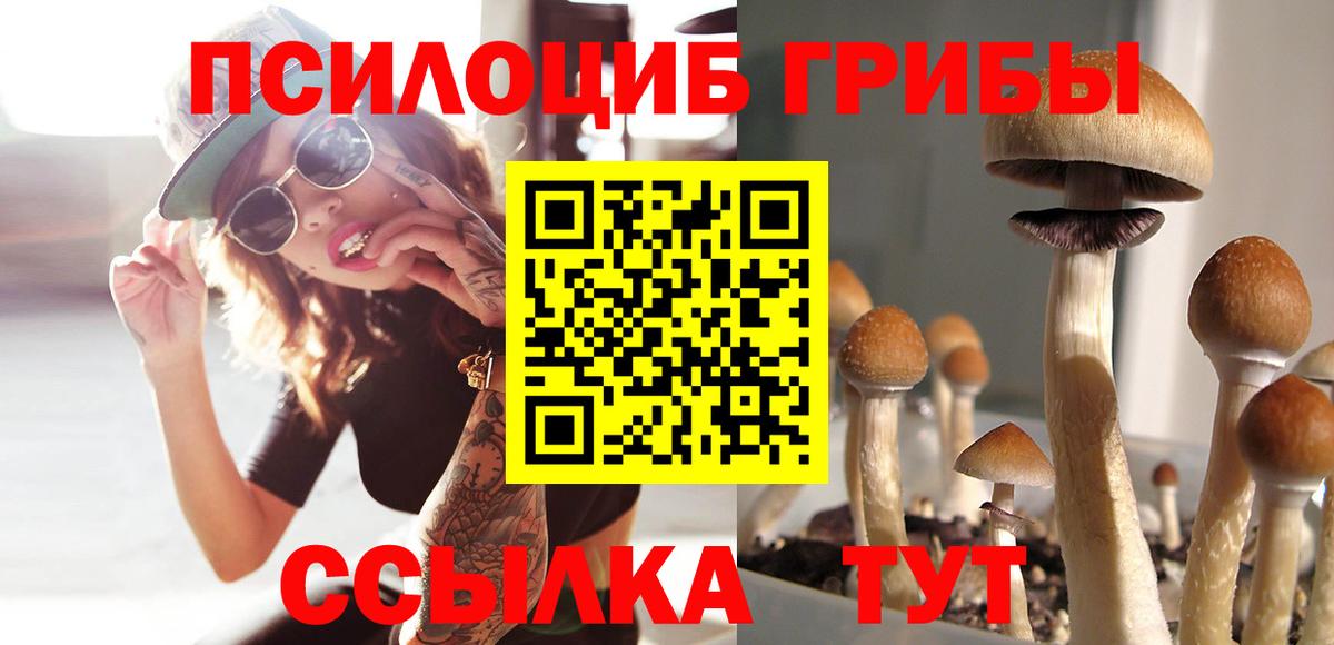 Псилоцибиновые грибы прущие грибы  Вход с VPN  Ялта  Псилоцибиновые грибы MAGIC MUSHROOMS 
