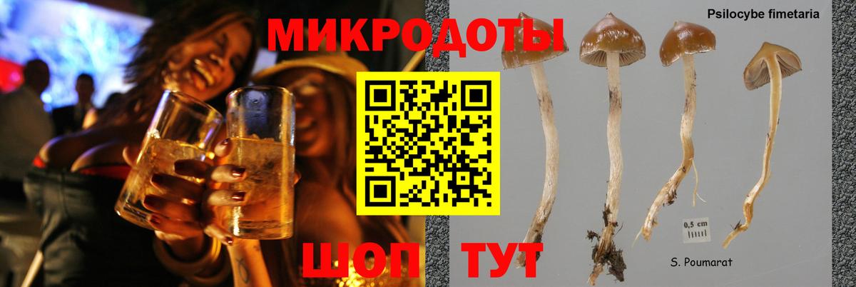 Псилоцибиновые грибы MAGIC MUSHROOMS Ялта